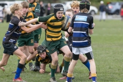 TB-R5MKII-260822-0248