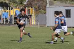 TB-R5-240420-2312 TB-R5-240420-2312