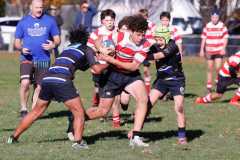 TB-R5-240525-0181-2 TB-R5-240525-0181-2