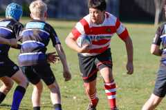 TB-R5-240525-0577 TB-R5-240525-0577