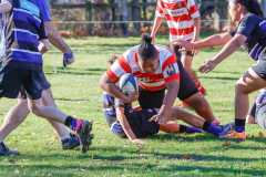 TB-R5-240525-0707 TB-R5-240525-0707