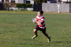 TB-R5-240525-0791 TB-R5-240525-0791