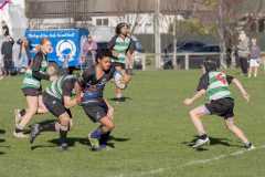 TB-R5-240629-0182 TB-R5-240629-0182