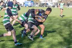 TB-R5-240629-0408 TB-R5-240629-0408