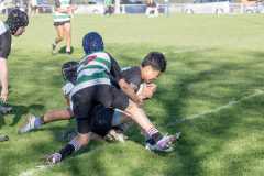 TB-R5-240629-0412 TB-R5-240629-0412