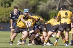 TB-R5MKII-260411-0121