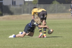 TB-R5MKII-260411-0333