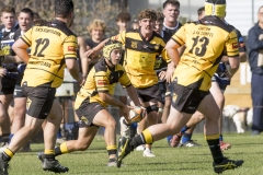 TB-R5MKII-260411-0344