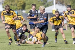 TB-R5MKII-260411-0470