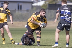 TB-R5MKII-260411-0668