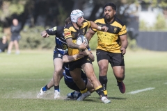 TB-R5MKII-260411-0695