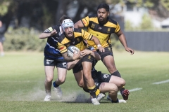 TB-R5MKII-260411-0697