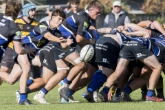 TB-R5MKII-260411-0749