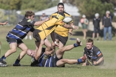 TB-R5MKII-260411-0945