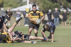 TB-R5MKII-260411-0950