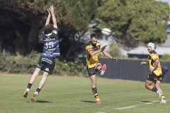 TB-R5MKII-260411-1183