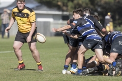 TB-R5MKII-260411-1272