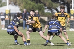 TB-R5MKII-260411-1392