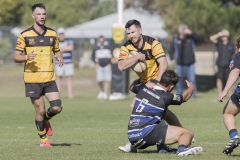 TB-R5MKII-260411-1397