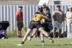 TB-R5MKII-260411-1487