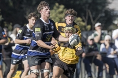 TB-R5MKII-260411-1498