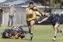 TB-R5MKII-260411-1599