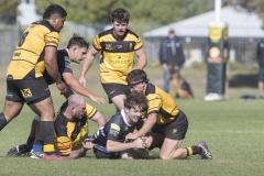 TB-R5MKII-260411-1677