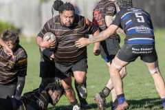 TB-R5-240629-0587 TB-R5-240629-0587