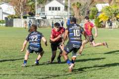 TB-R5-240615-0783 TB-R5-240615-0783