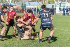TB-R5-240615-0801 TB-R5-240615-0801