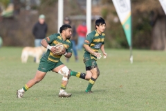 TB-R5MKII-250628-0722