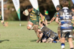 TB-R5MKII-250628-0739