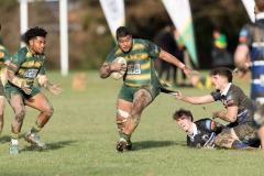 TB-R5MKII-250628-0742