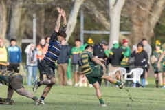 TB-R5MKII-250628-0786