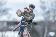 TB-R5MKII-250628-0819