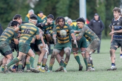 TB-R5MKII-250628-0892