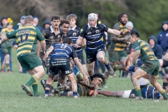 TB-R5MKII-250628-0923