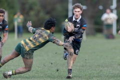 TB-R5MKII-250628-0959