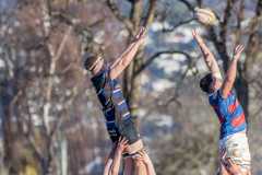 TB-R5-240713-1299 TB-R5-240713-1299