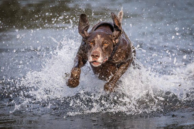 Loving the water …..