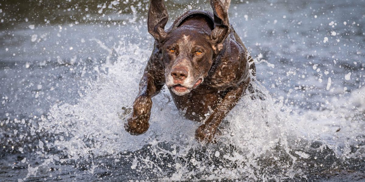 Loving the water …..