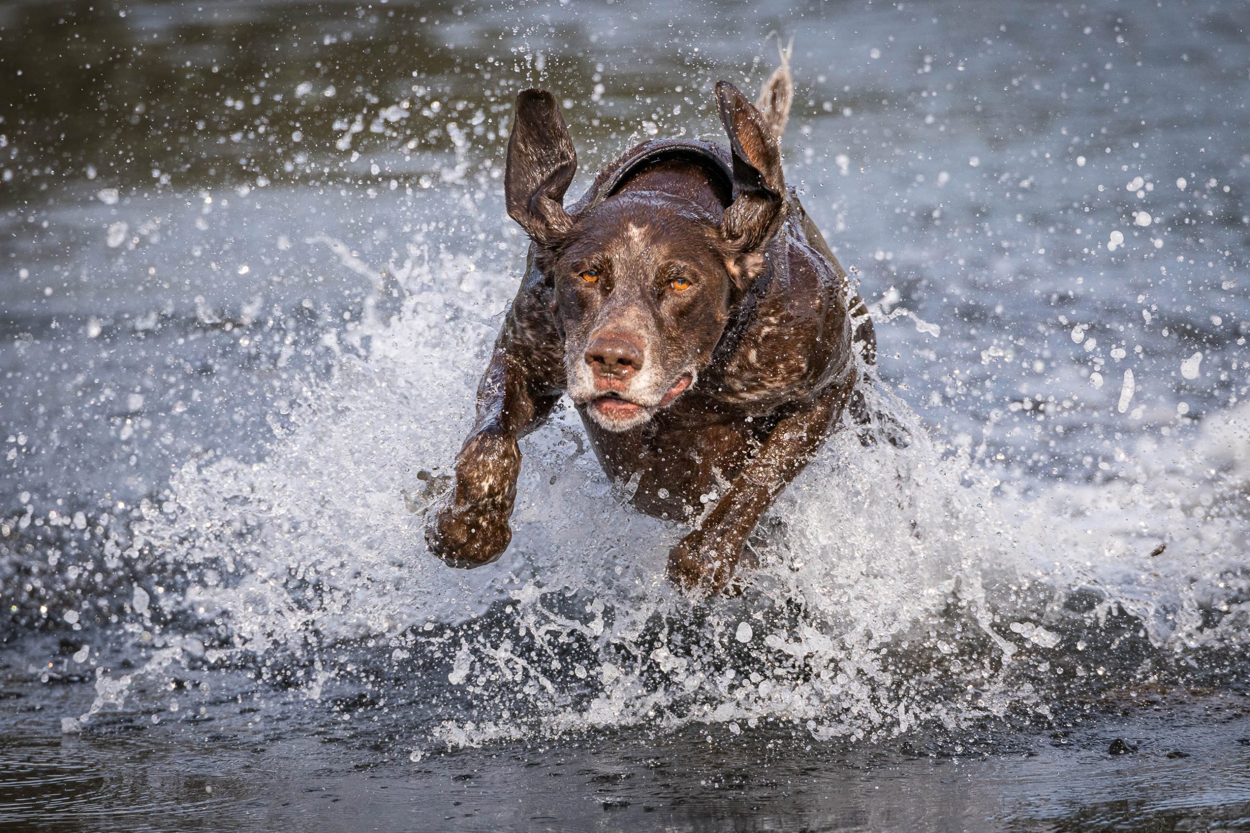 Loving the water …..