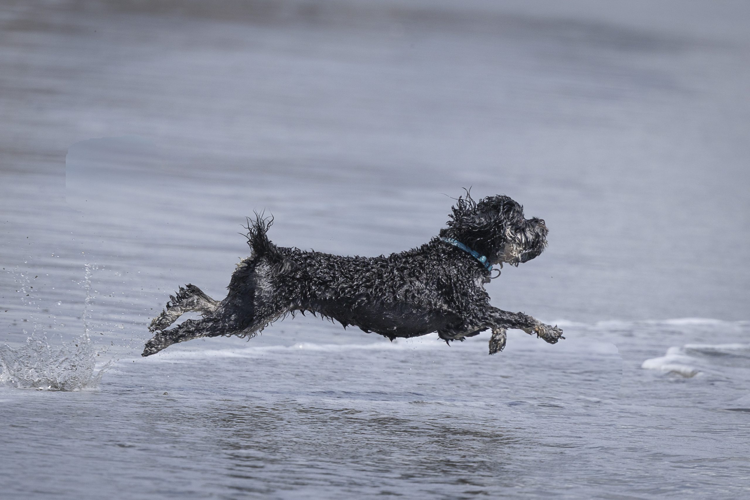 Joy on the beach
