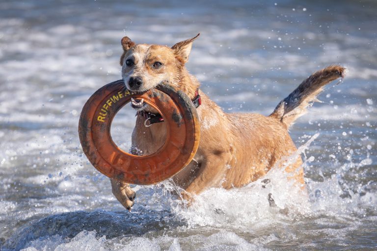 Something joyous …