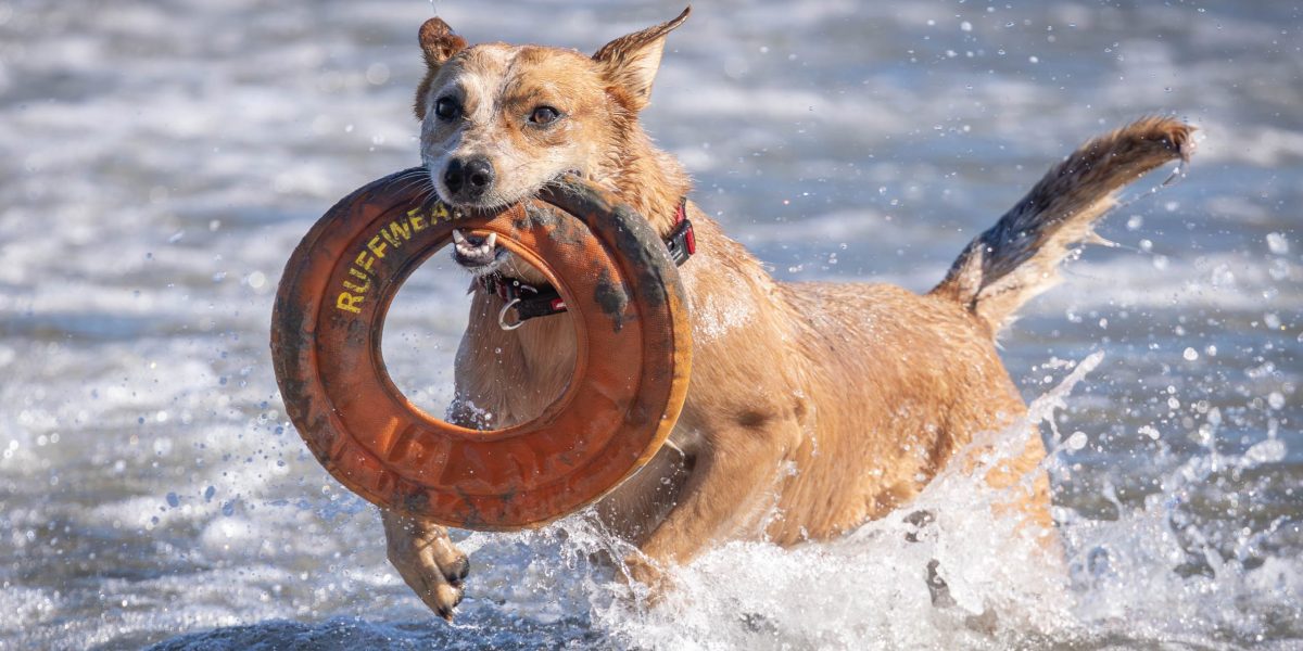 Something joyous …